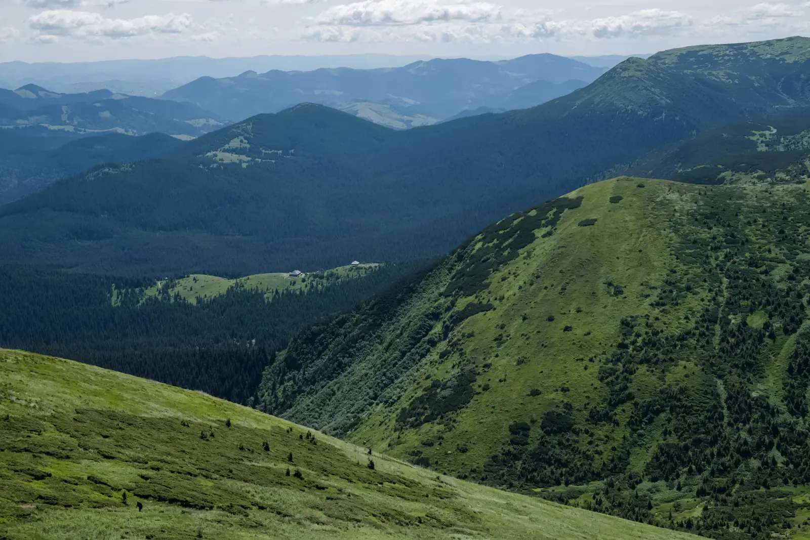 Зелені гірські хребти в Карпатах